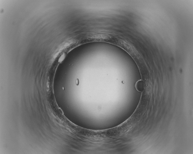 X0000087310731200705041649