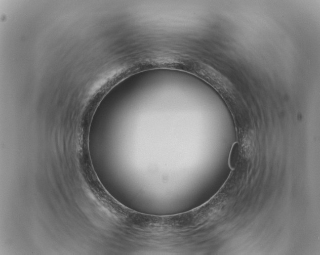 X0000087310732200705041649