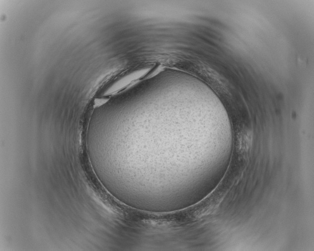 X0000087310733200705041649