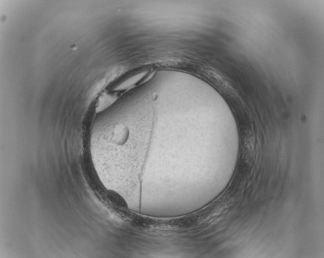 X0000087310734200705041649