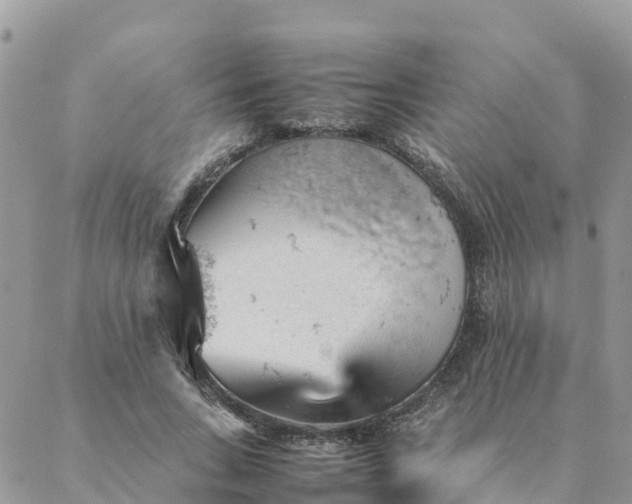 X0000087310735200705041649