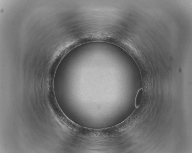 X0000087310736200705041649