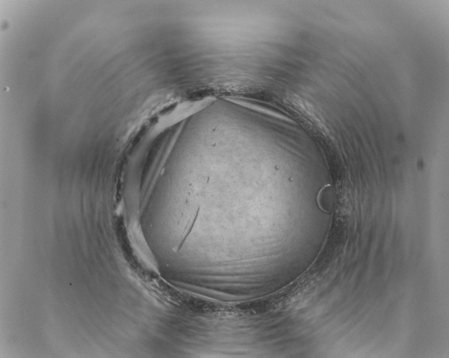 X0000087310738200705041649