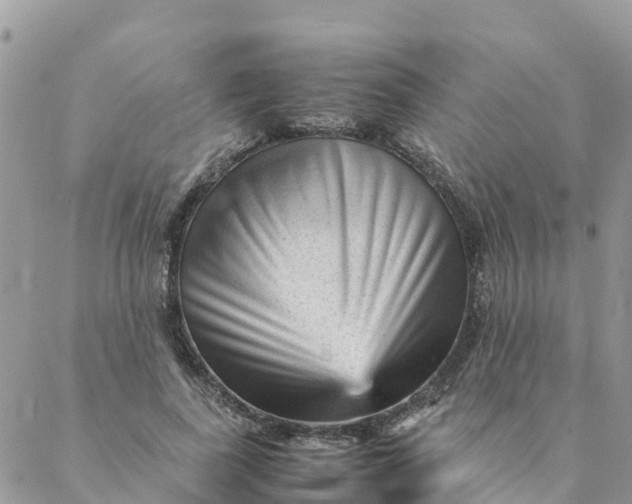 X0000087310739200705041649