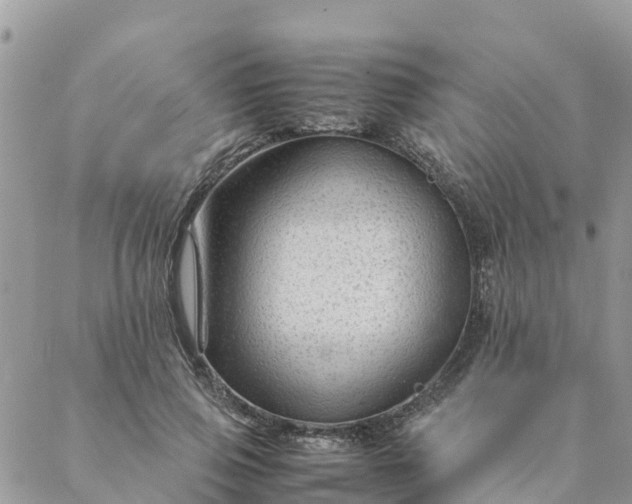 X0000087310741200705041649