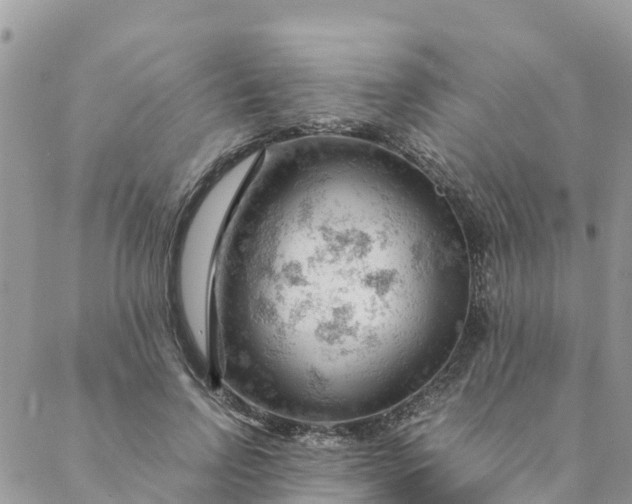 X0000087310742200705041649