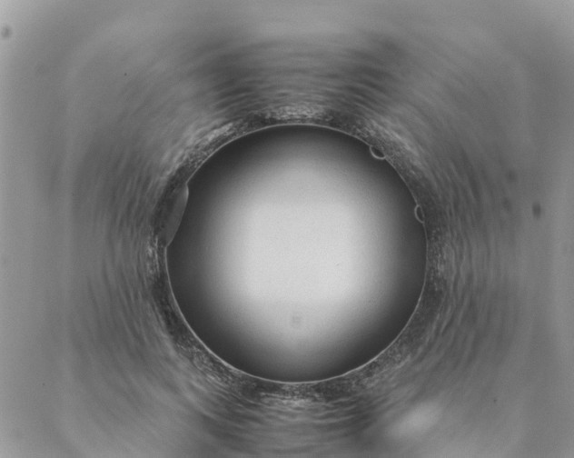 X0000087310743200705041649