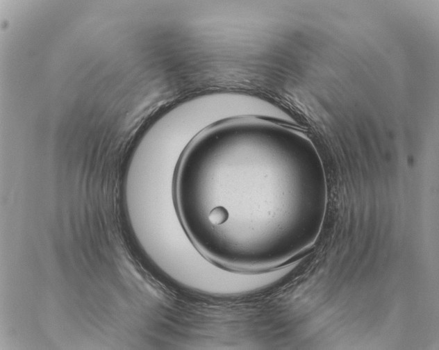 X0000087310744200705041649