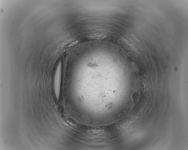 X0000087310745200705041649