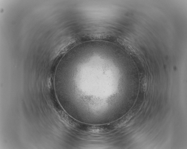 X0000087310746200705041649