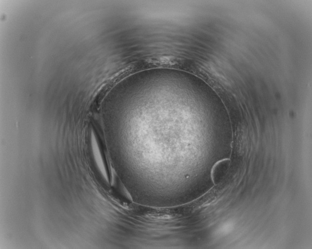 X0000087310747200705041649