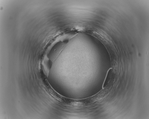 X0000087310748200705041649