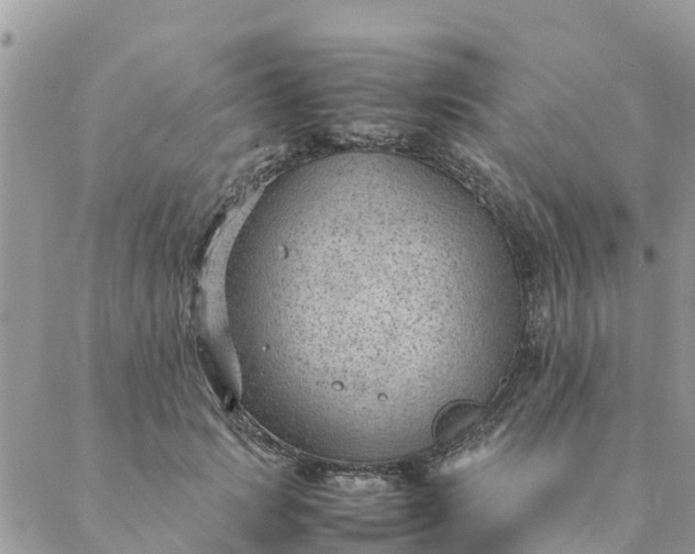 X0000087310749200705041649