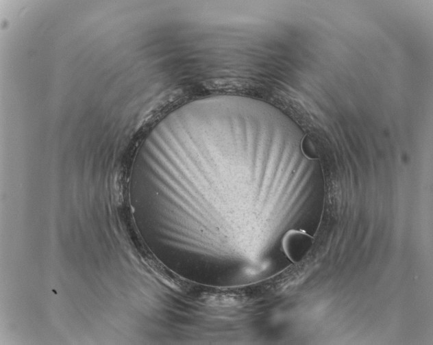 X0000087310751200705041649