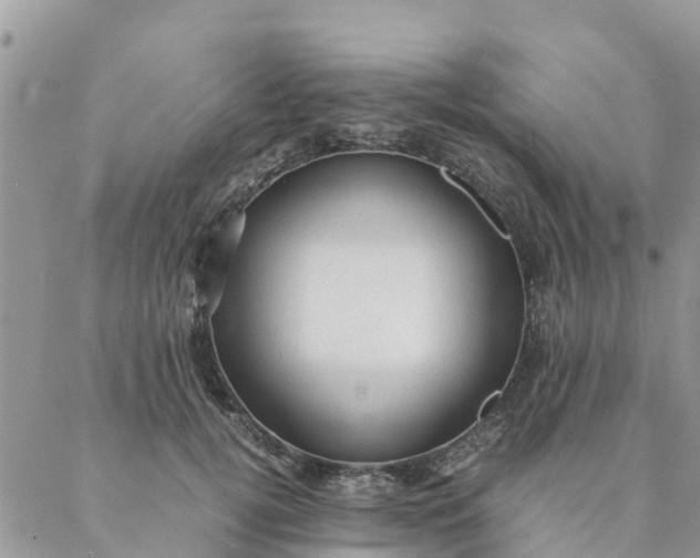 X0000087310752200705041649