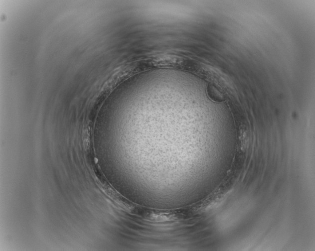 X0000087310753200705041649