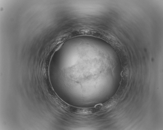 X0000087310754200705041649