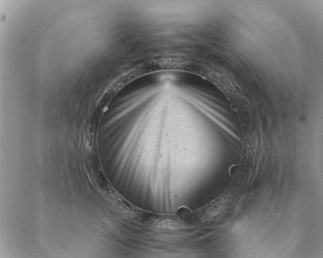 X0000087310755200705041649