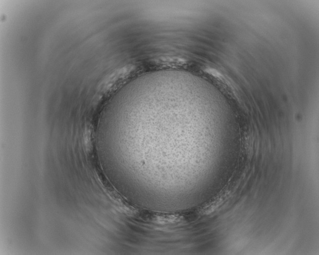 X0000087310757200705041649