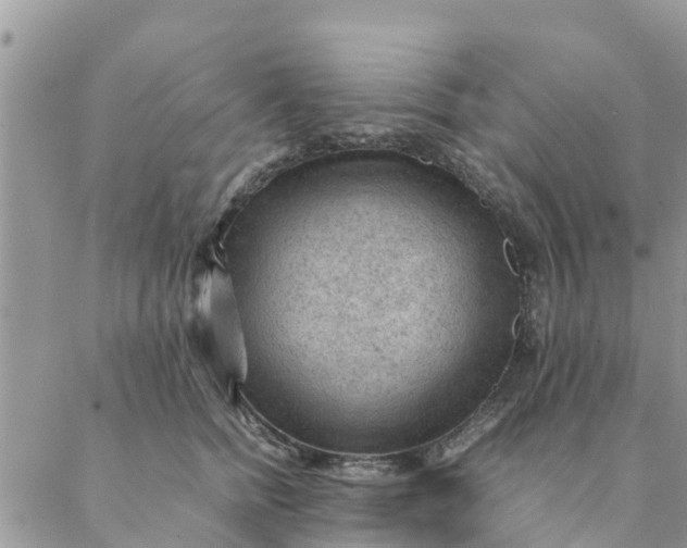 X0000087310758200705041649