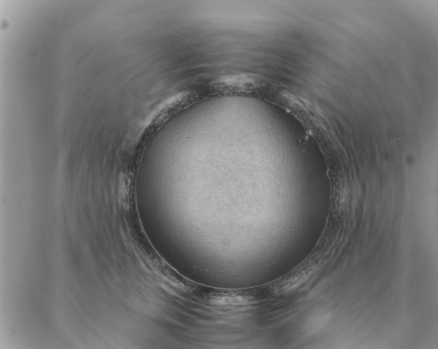 X0000087310759200705041649