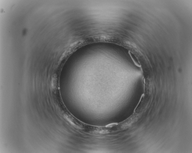 X0000087310760200705041649