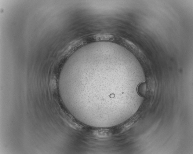 X0000087310761200705041649