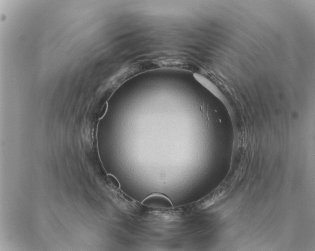 X0000087310763200705041649