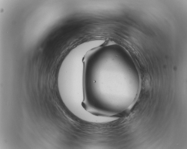 X0000087310764200705041649