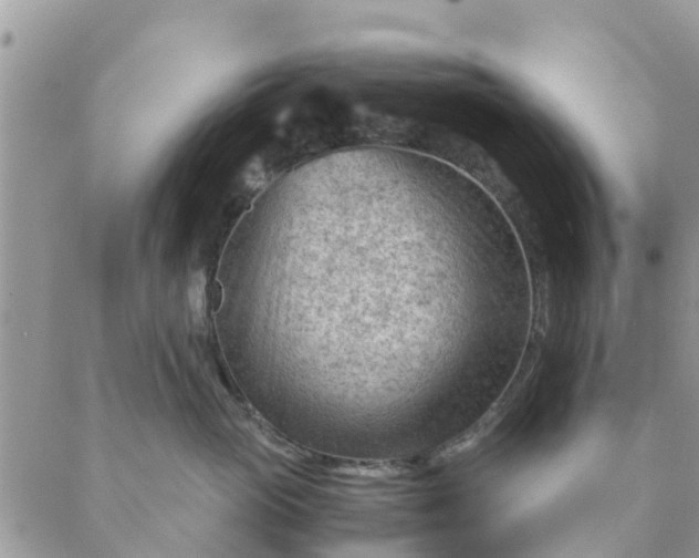 X0000087310765200705041649