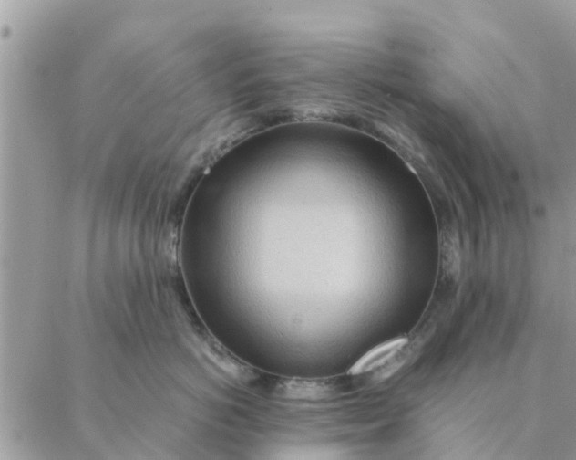 X0000087310766200705041649