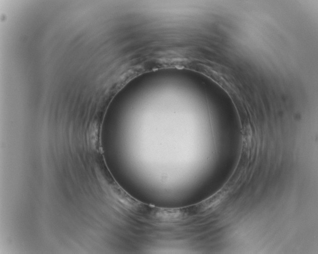 X0000087310767200705041649