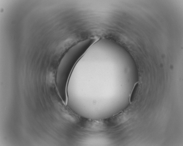 X0000087310768200705041649