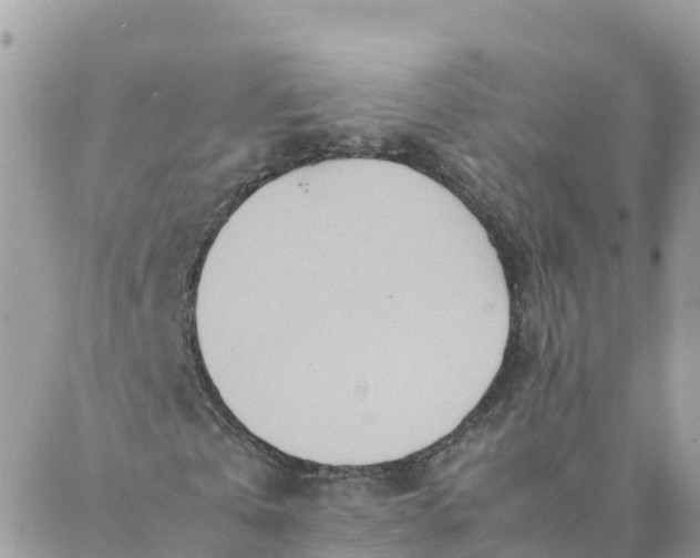 X0000087310769200705041648