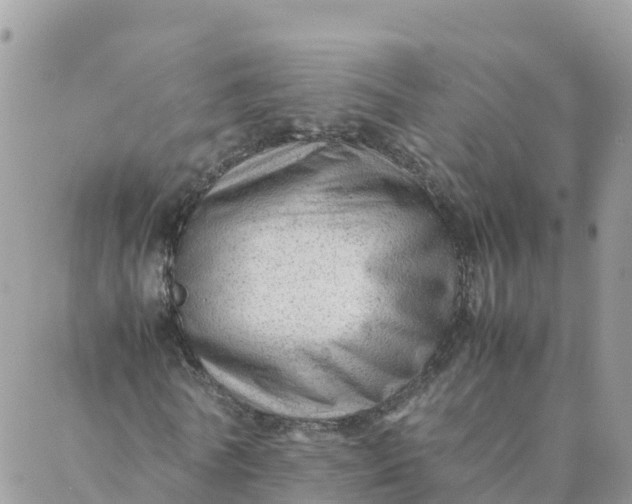 X0000087310770200705041648