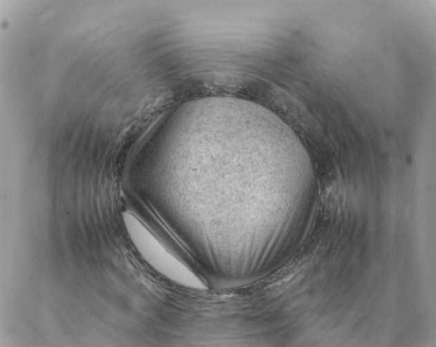 X0000087310772200705041648