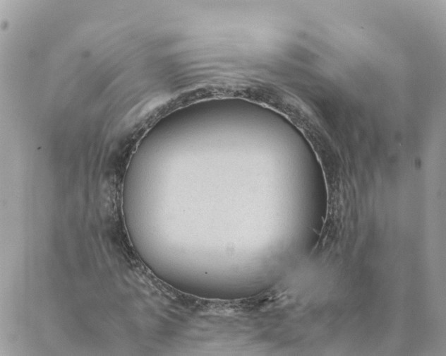 X0000087310773200705041648