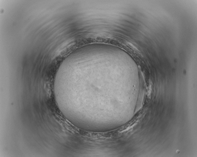 X0000087310774200705041648