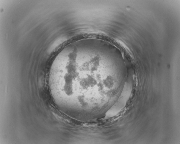 X0000087310775200705041648