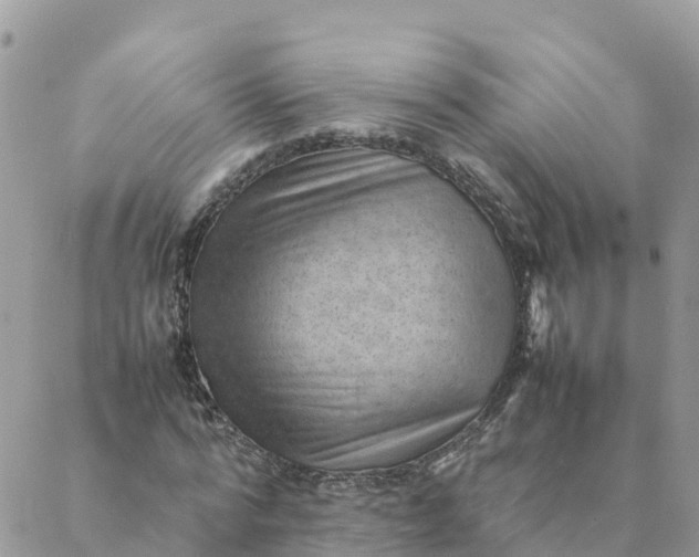 X0000087310776200705041648