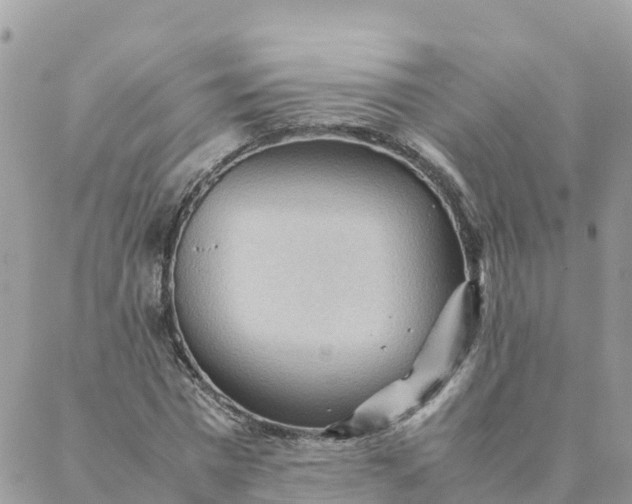 X0000087310777200705041648