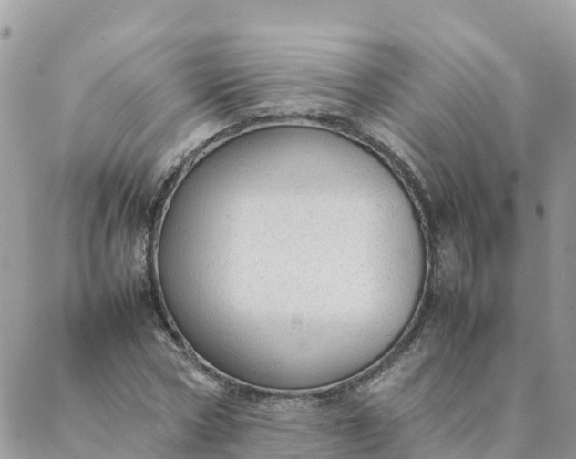 X0000087310778200705041648