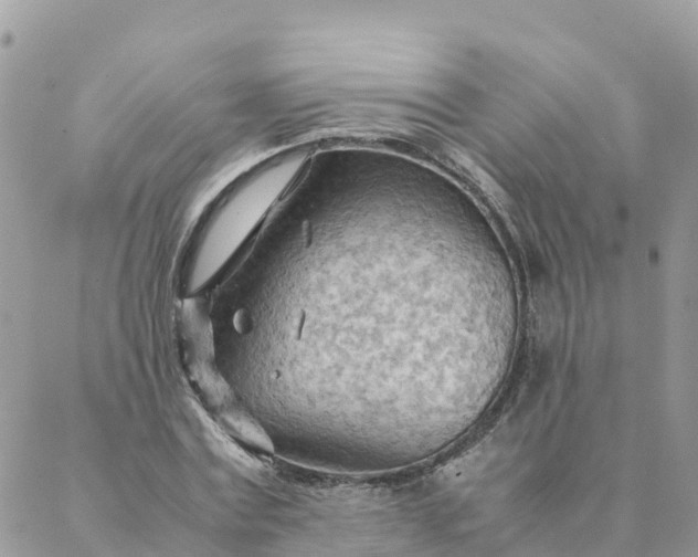 X0000087310779200705041648