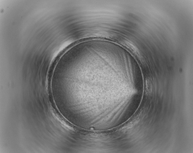 X0000087310780200705041648