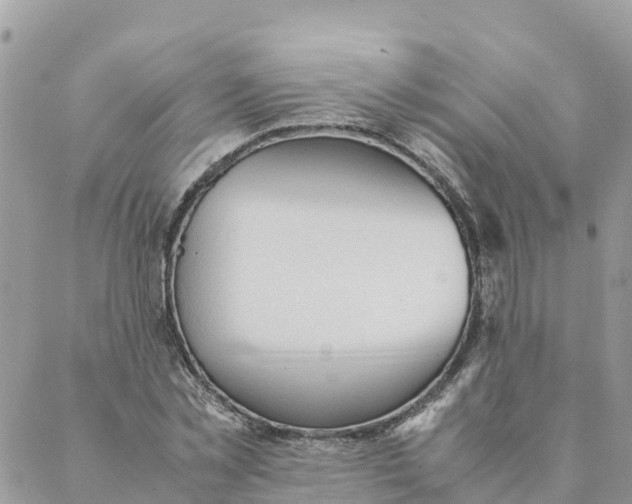 X0000087310781200705041648