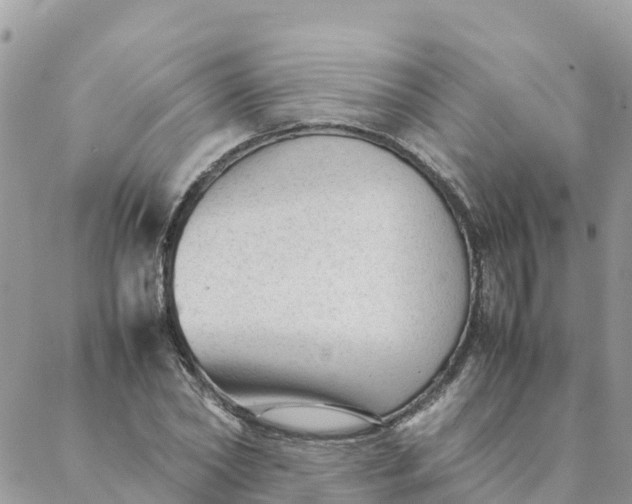 X0000087310782200705041648