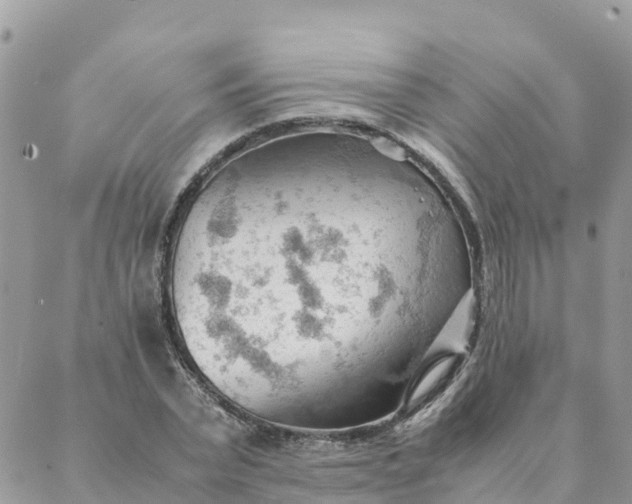 X0000087310783200705041648