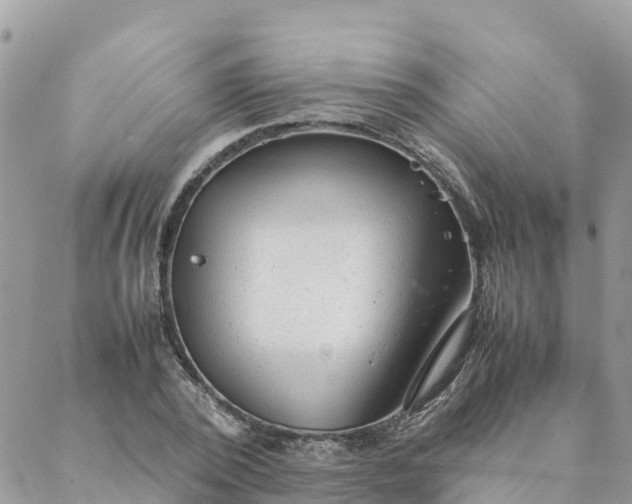 X0000087310784200705041648