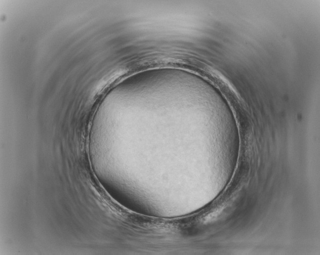 X0000087310785200705041648