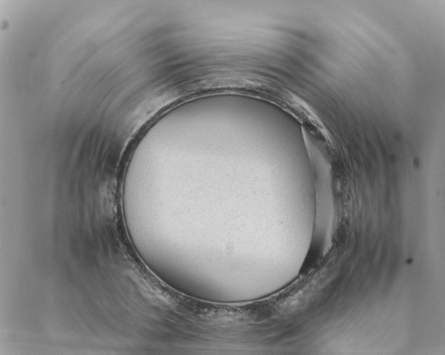 X0000087310786200705041648